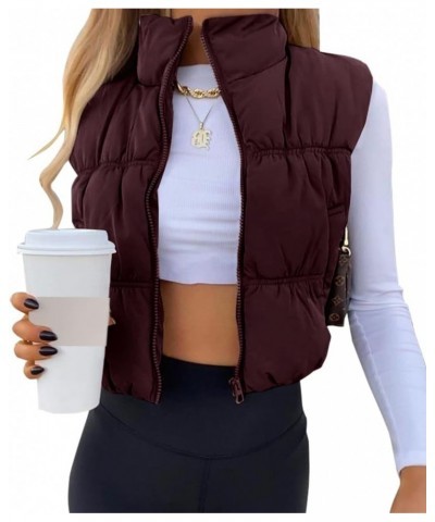 Women's Crop Puffer Vest Winter Zip Up Lightweight Sleeveless Warm Outerwear Padded Coat Red Brown $24.18 Vests