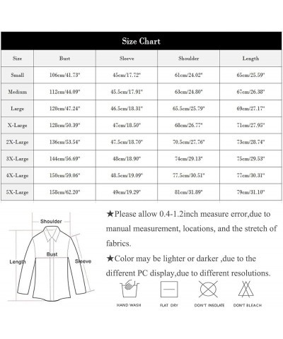 Womens Long Sleeve Tops Spring Shirts for Women 2024 Trendy Graphic Tees Business Casual Ladies Crew Neck Blouses Holiday Out...