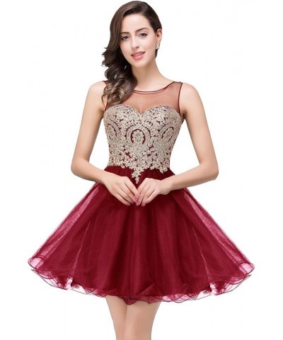 2022 Prom Dress for Teens Short Mini Princess Homecoming Dresses V Back Sexy Ball Gown Party Dress Burgundy $26.00 Dresses