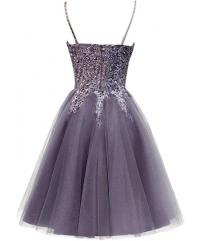 Prom Dress 2024 Short - Homecoming Dresses Lace Tulle Prom Dresses for Teens Purple $38.24 Dresses