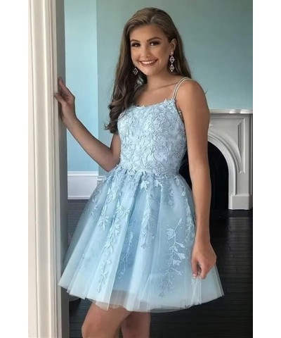 Lace Appliques Tulle Homecoming Dresses Short Spaghetti Straps Prom Cocktail Party Dresses Desert Rose $26.09 Dresses