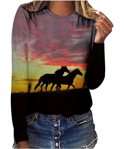 Horses T Shirt Women Funny Graphic Tees Long Sleeve Crew Neck Shirts Casual Loose Fit Blouses Horse Lover T-Shirt Gift 01 win...