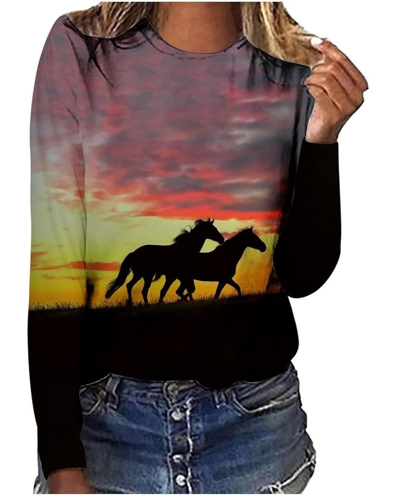 Horses T Shirt Women Funny Graphic Tees Long Sleeve Crew Neck Shirts Casual Loose Fit Blouses Horse Lover T-Shirt Gift 01 win...