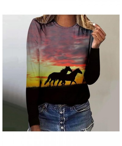 Horses T Shirt Women Funny Graphic Tees Long Sleeve Crew Neck Shirts Casual Loose Fit Blouses Horse Lover T-Shirt Gift 01 win...