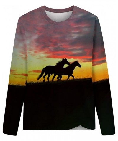 Horses T Shirt Women Funny Graphic Tees Long Sleeve Crew Neck Shirts Casual Loose Fit Blouses Horse Lover T-Shirt Gift 01 win...