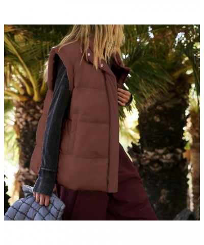 Women's Puffer Vest Stand Collar Zipper Sleeveless Jackets Winter Lightweight Vests Warm Padded Jacket Coat Brown $26.54 Vests