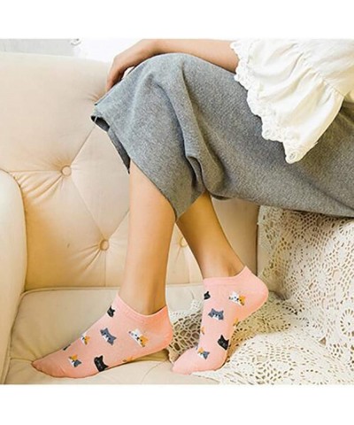 Women Socks Cotton No Show Low Cut Socks Ankle Sock 5 Pack Cats $10.82 Socks