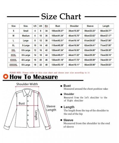 Long Sleeve Shirts for Women Color Block Patchwork Shirt Crewneck Loose Fit Blouse Plus Size Dressy Casual Tunic Tops 03clear...